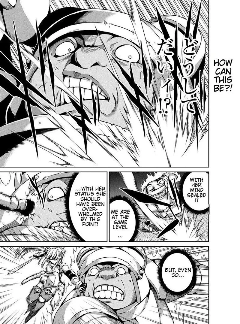 Dungeon ni Deai wo Motomeru no wa Machigatte Iru Darou ka Gaiden - Sword Oratoria Chapter 57 page 5