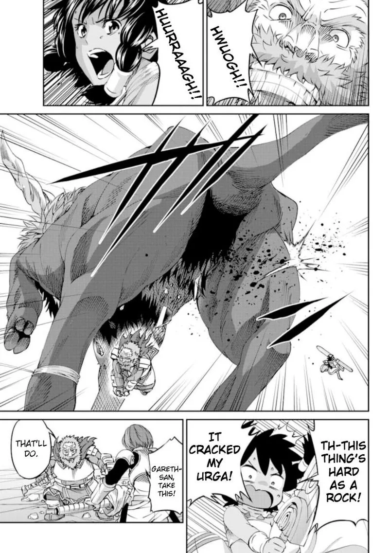 Dungeon ni Deai wo Motomeru no wa Machigatte Iru Darou ka Gaiden - Sword Oratoria Chapter 67 page 25