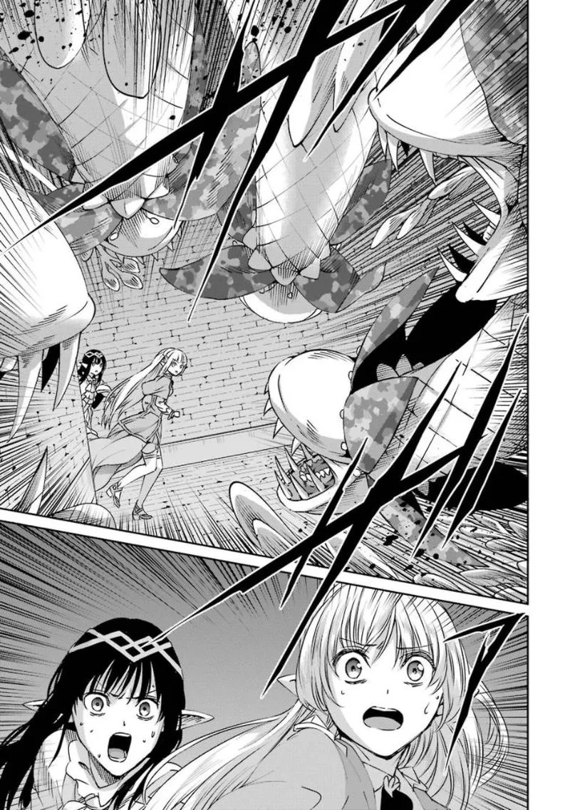 Dungeon ni Deai wo Motomeru no wa Machigatte Iru Darou ka Gaiden - Sword Oratoria Chapter 68 page 5