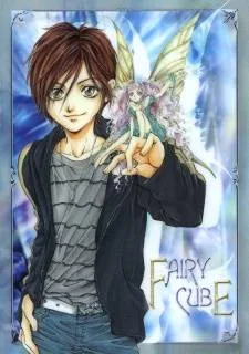 Fairy Cube cover