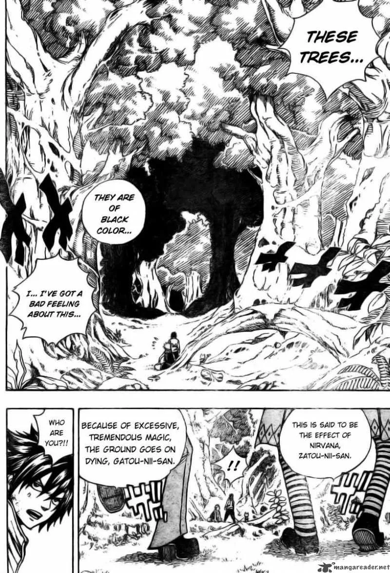 Fairy Tail Chapter 136 page 12