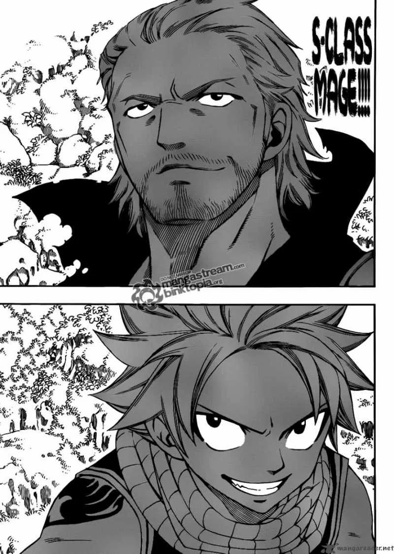 Fairy Tail Chapter 205 page 7