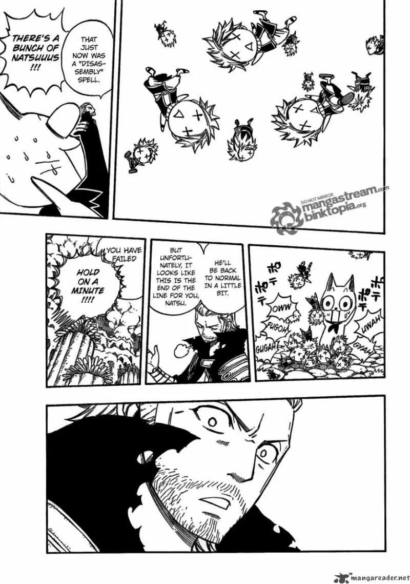 Fairy Tail Chapter 205 page 18