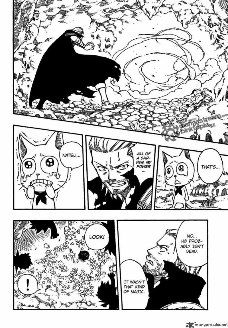 Fairy Tail Chapter 205 page 17