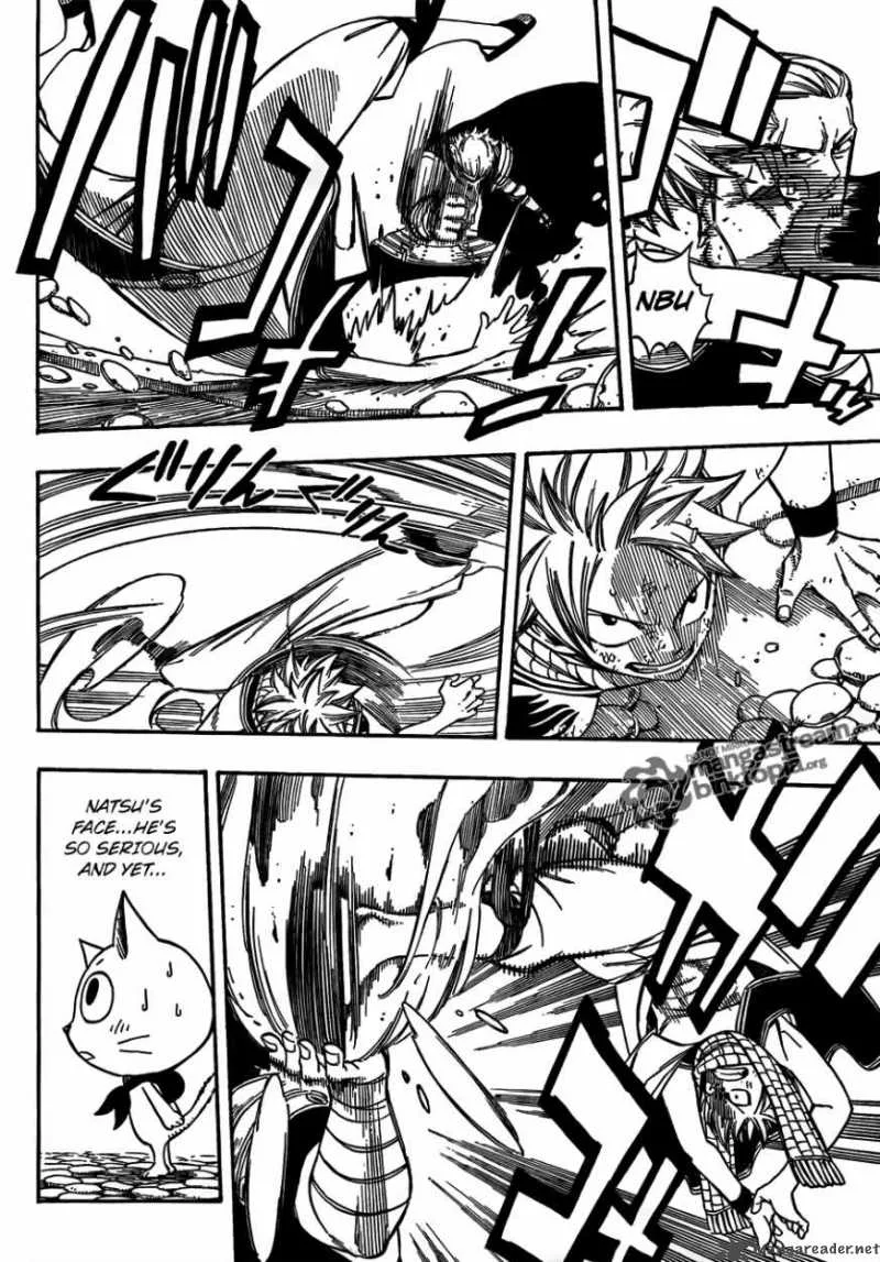 Fairy Tail Chapter 205 page 13