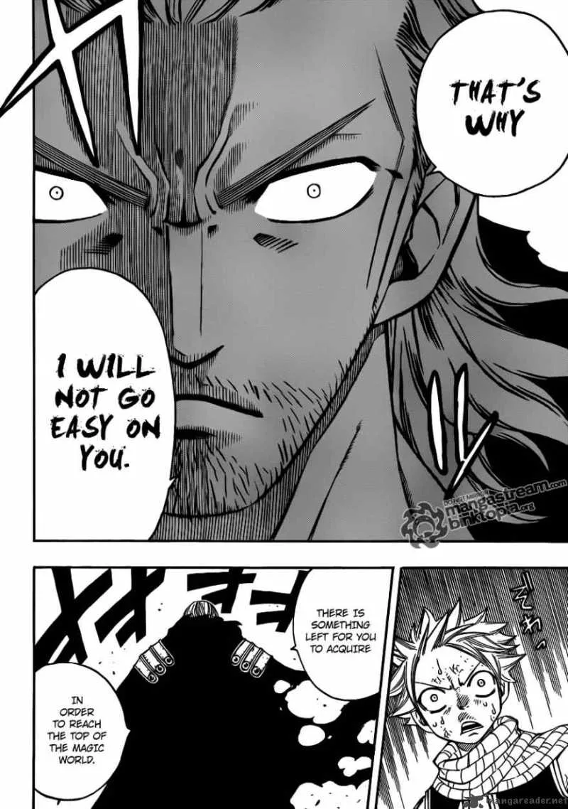 Fairy Tail Chapter 206 page 10