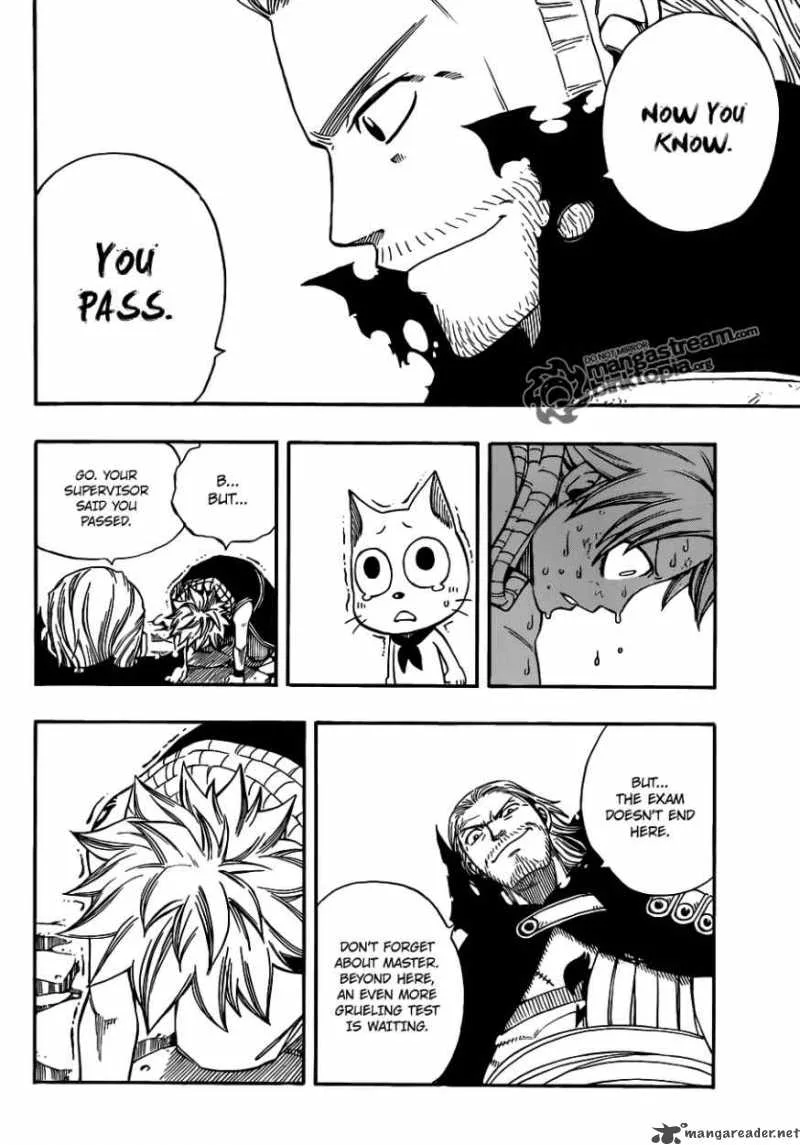 Fairy Tail Chapter 206 page 18