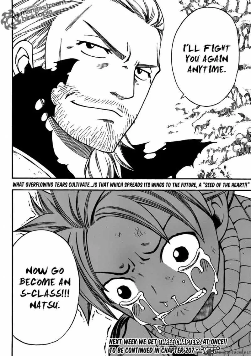 Fairy Tail Chapter 206 page 20