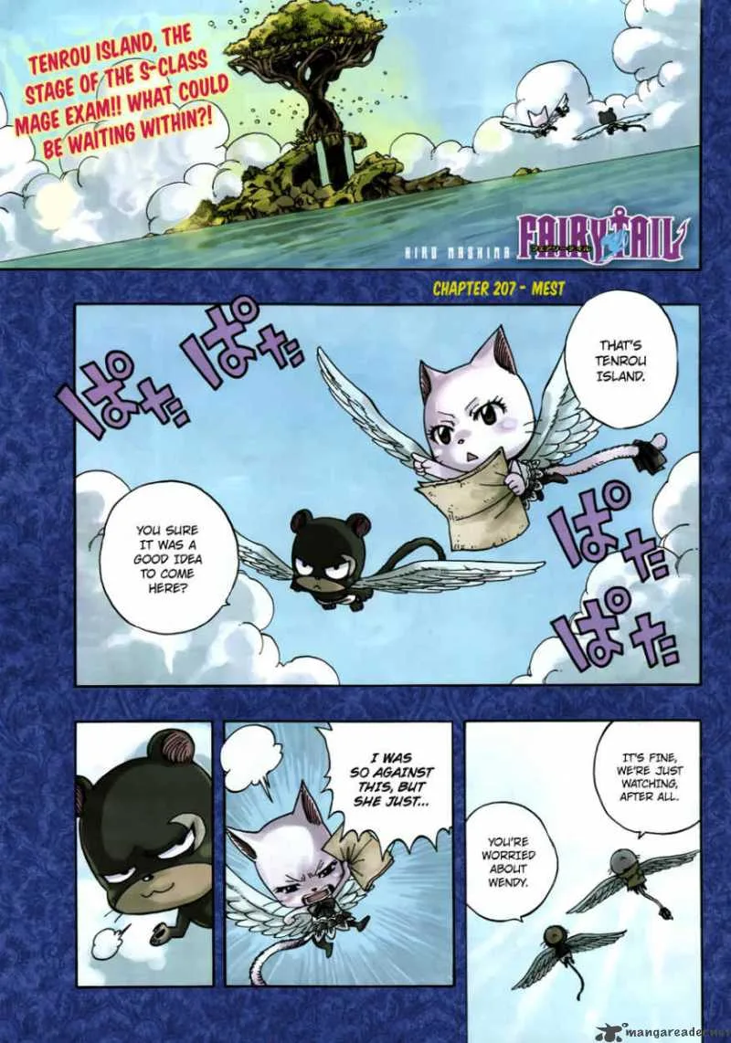 Fairy Tail Chapter 207 page 1