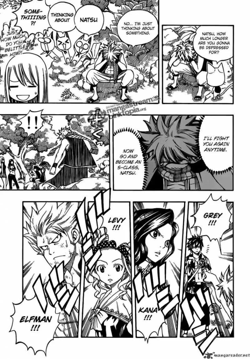 Fairy Tail Chapter 207 page 17
