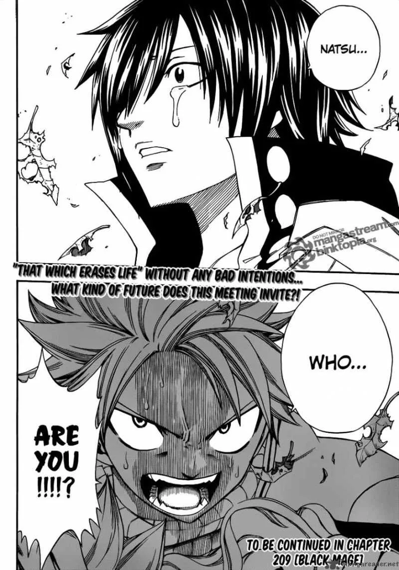 Fairy Tail Chapter 208 page 18
