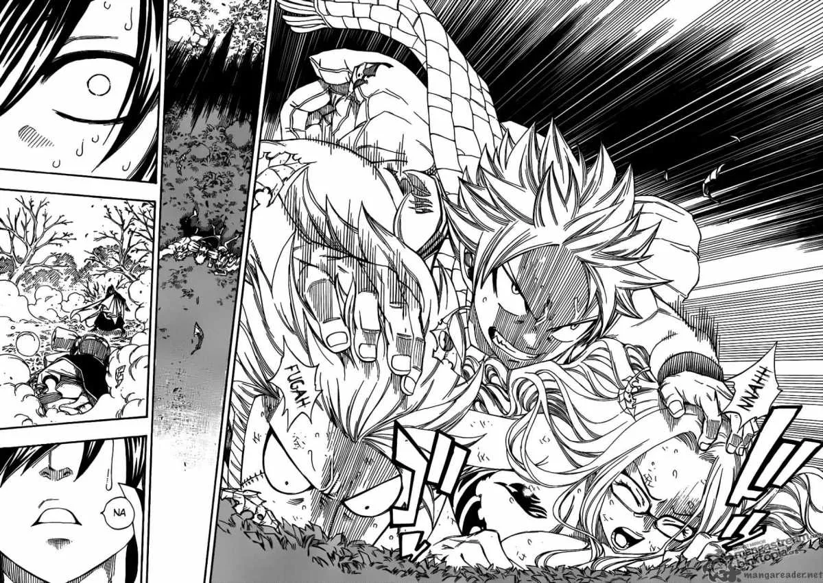 Fairy Tail Chapter 208 page 17