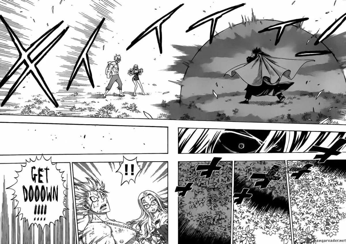 Fairy Tail Chapter 208 page 16