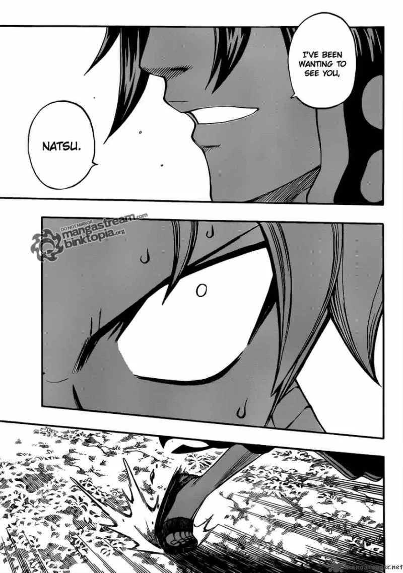 Fairy Tail Chapter 209 page 5
