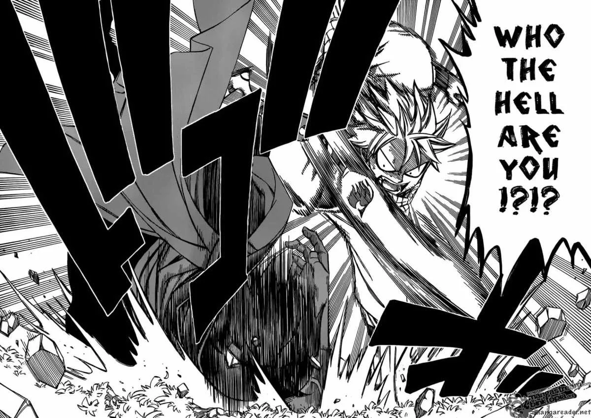Fairy Tail Chapter 209 page 6