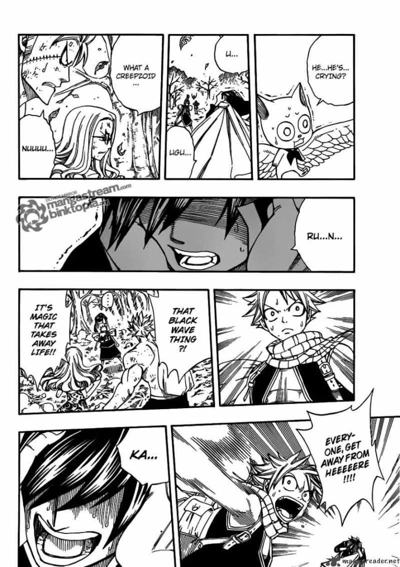 Fairy Tail Chapter 209 page 9