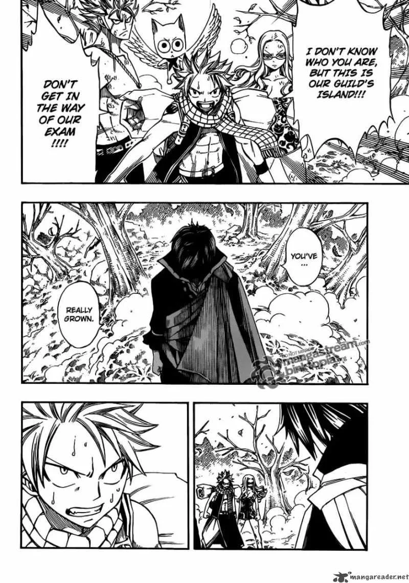 Fairy Tail Chapter 209 page 4