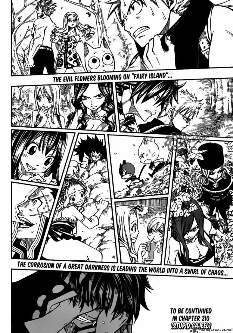 Fairy Tail Chapter 209 page 17