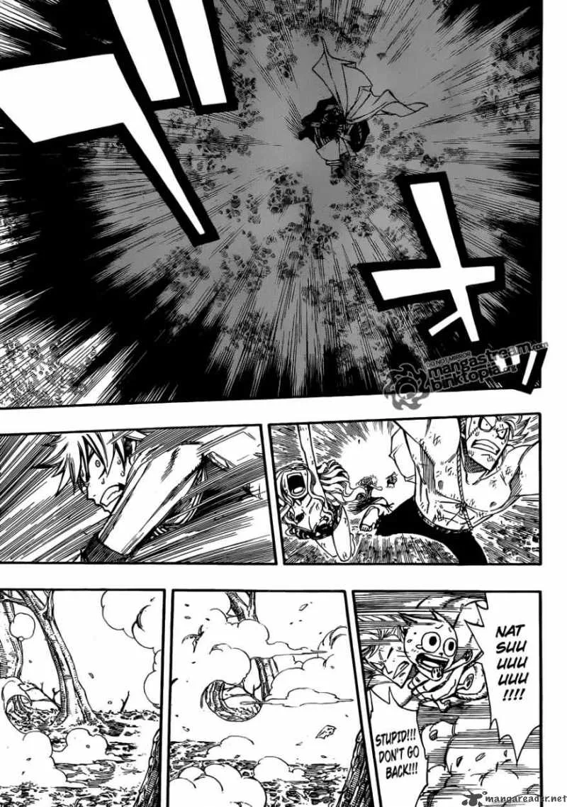 Fairy Tail Chapter 209 page 10