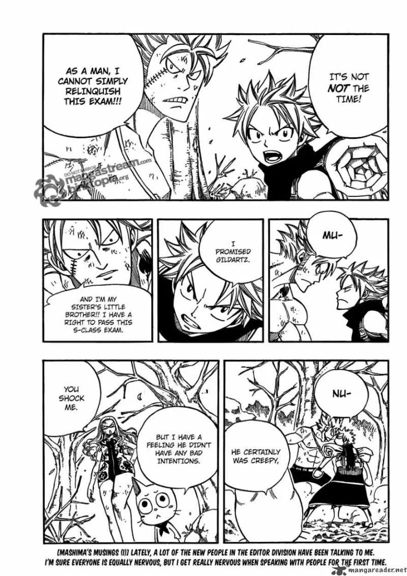 Fairy Tail Chapter 210 page 3