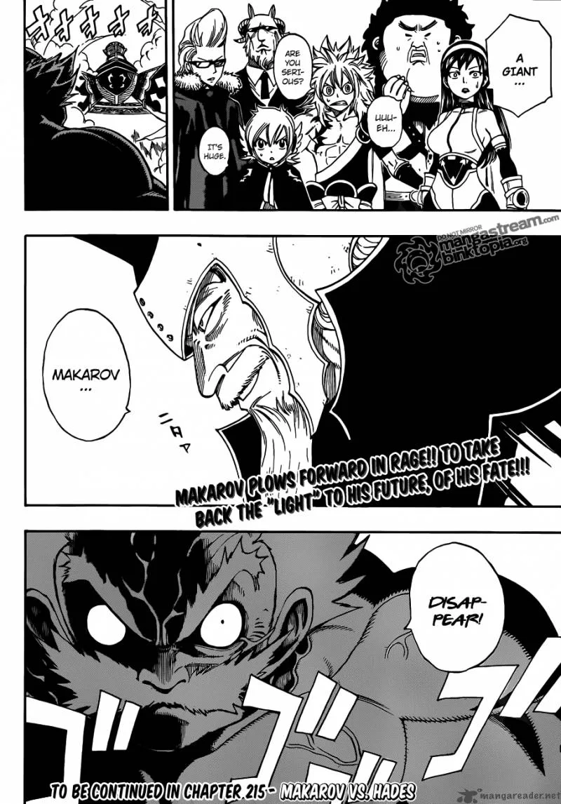 Fairy Tail Chapter 214 page 18
