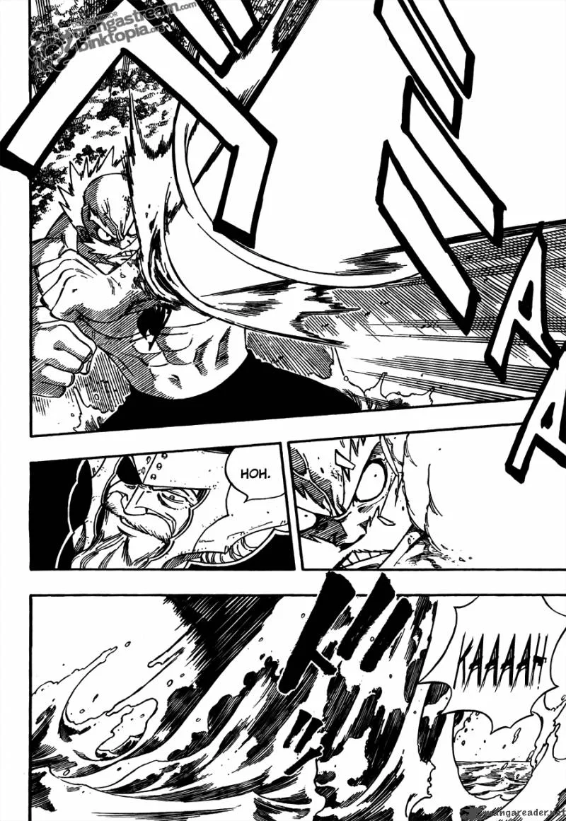 Fairy Tail Chapter 215 page 5