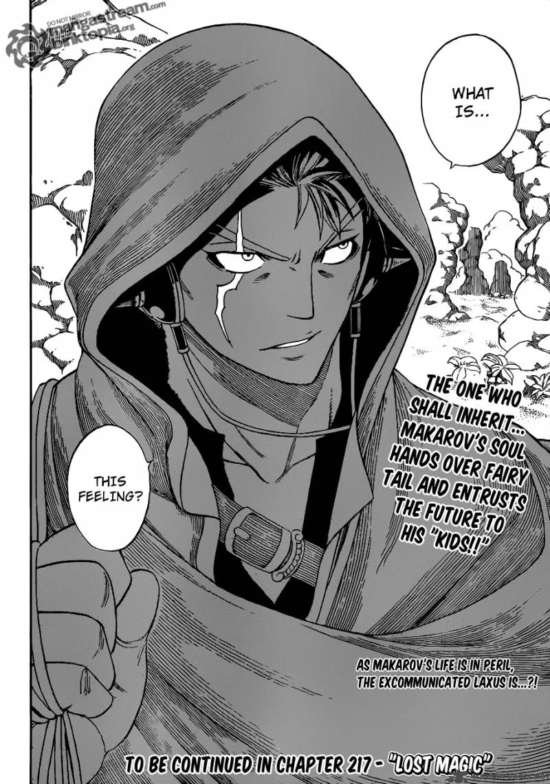 Fairy Tail Chapter 216 page 19