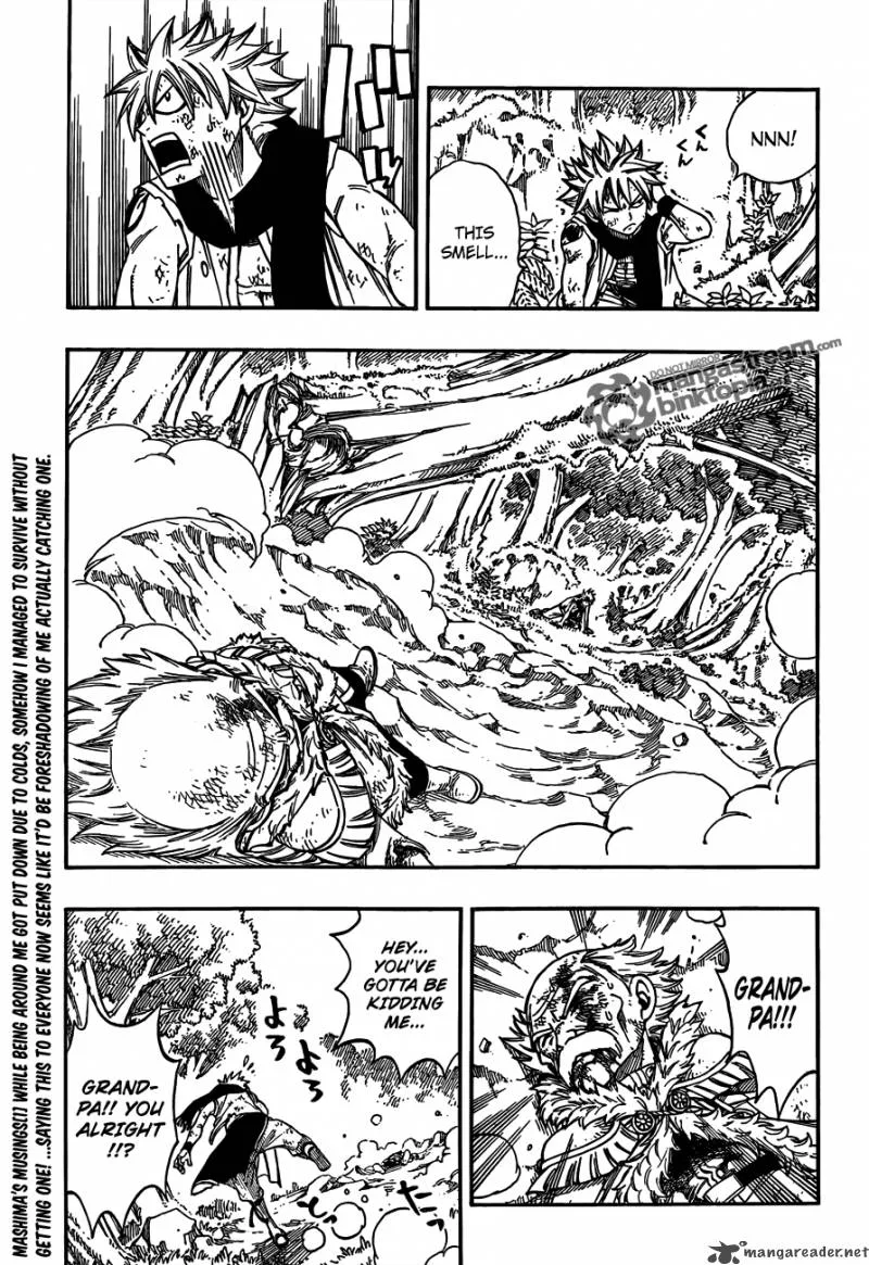 Fairy Tail Chapter 218 page 12