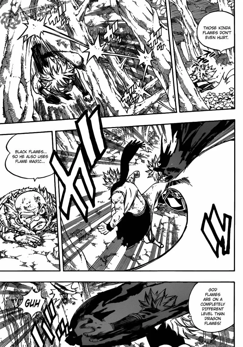 Fairy Tail Chapter 219 page 5
