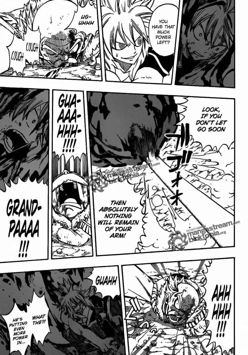 Fairy Tail Chapter 219 page 13