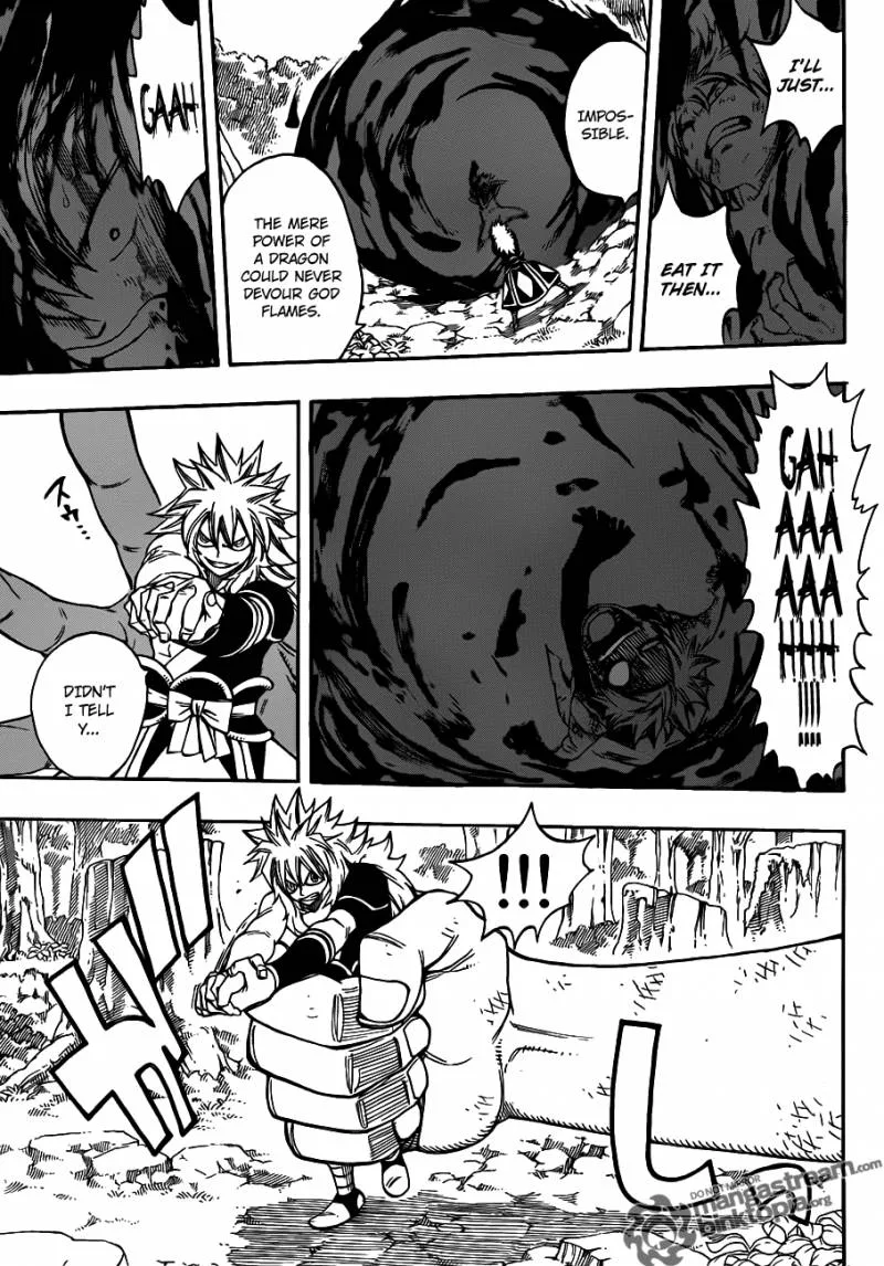 Fairy Tail Chapter 219 page 11