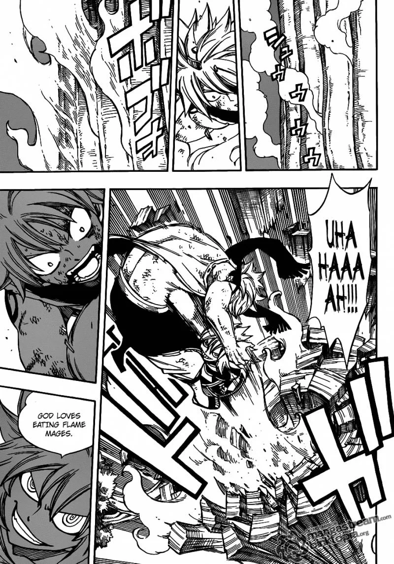 Fairy Tail Chapter 219 page 9