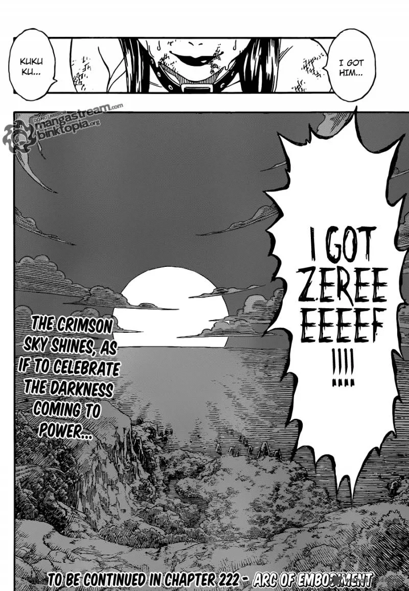 Fairy Tail Chapter 221 page 20