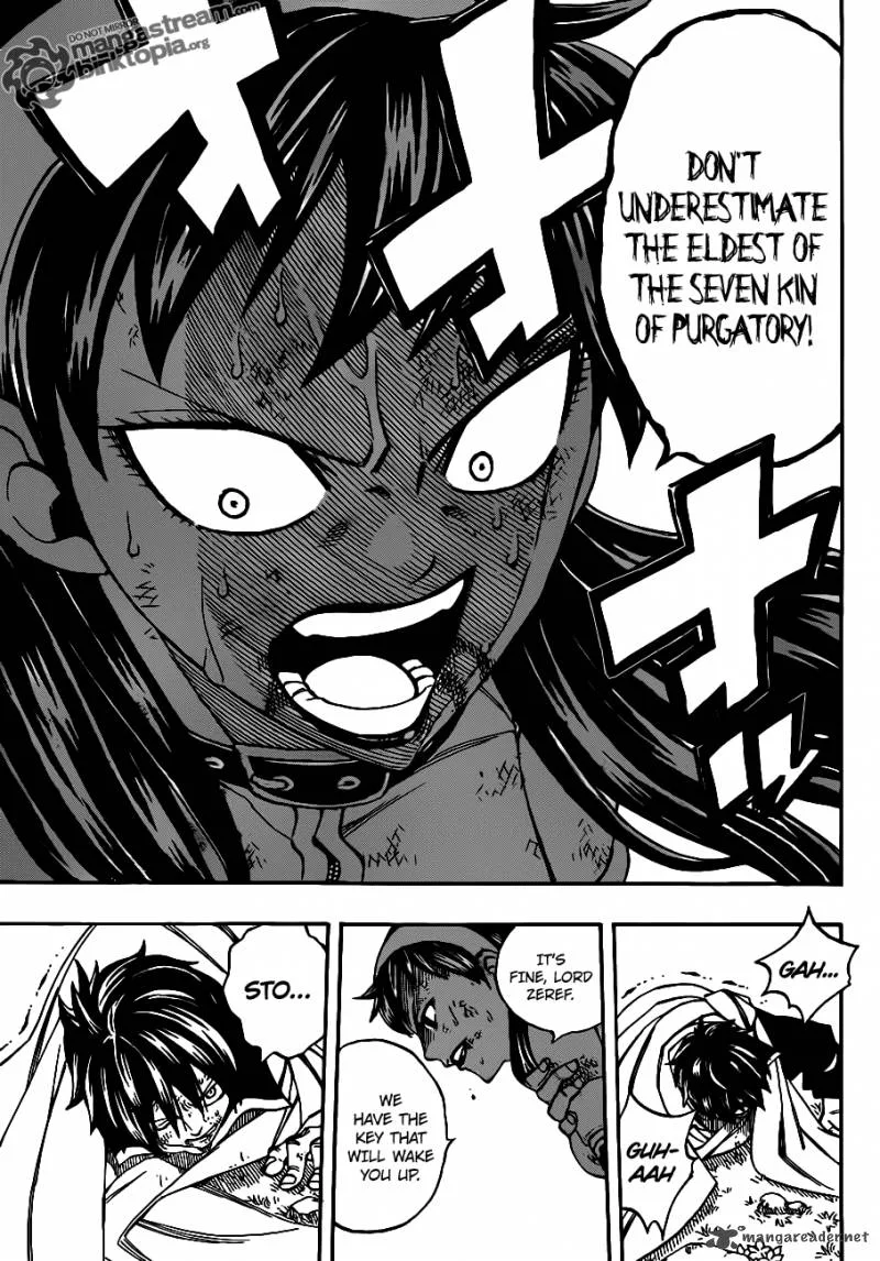 Fairy Tail Chapter 221 page 19