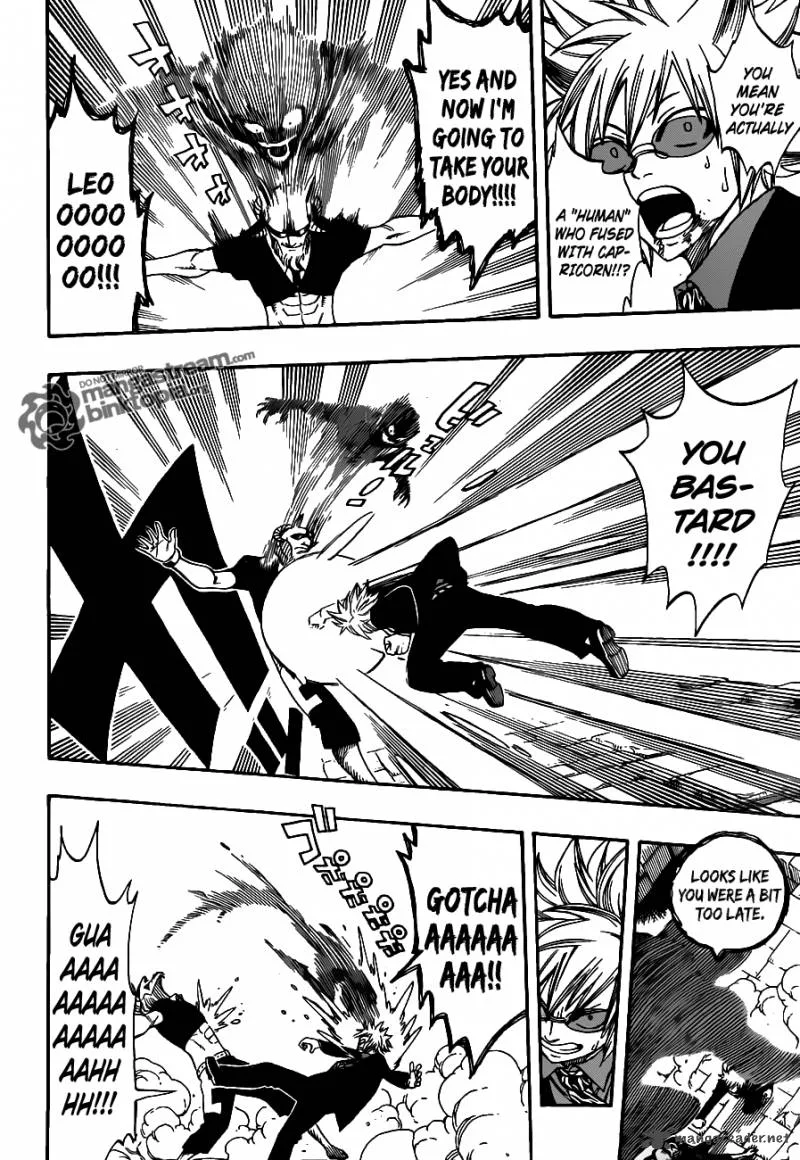 Fairy Tail Chapter 224 page 8