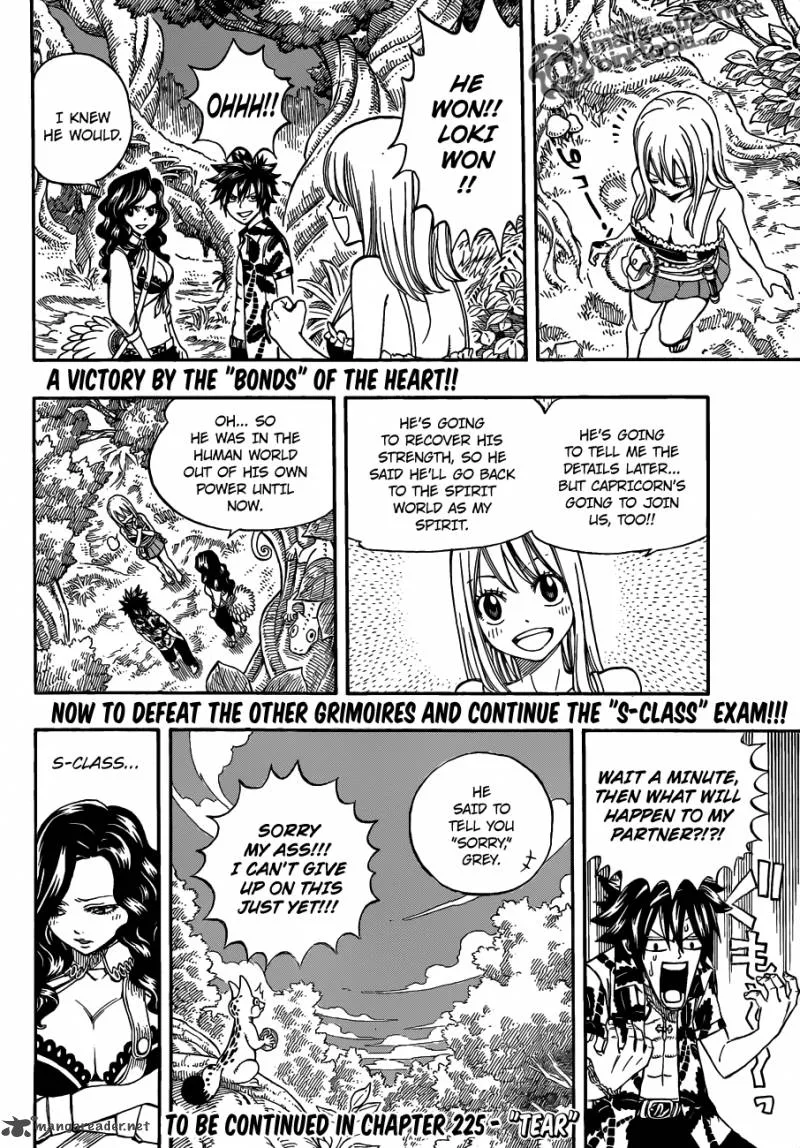 Fairy Tail Chapter 224 page 19