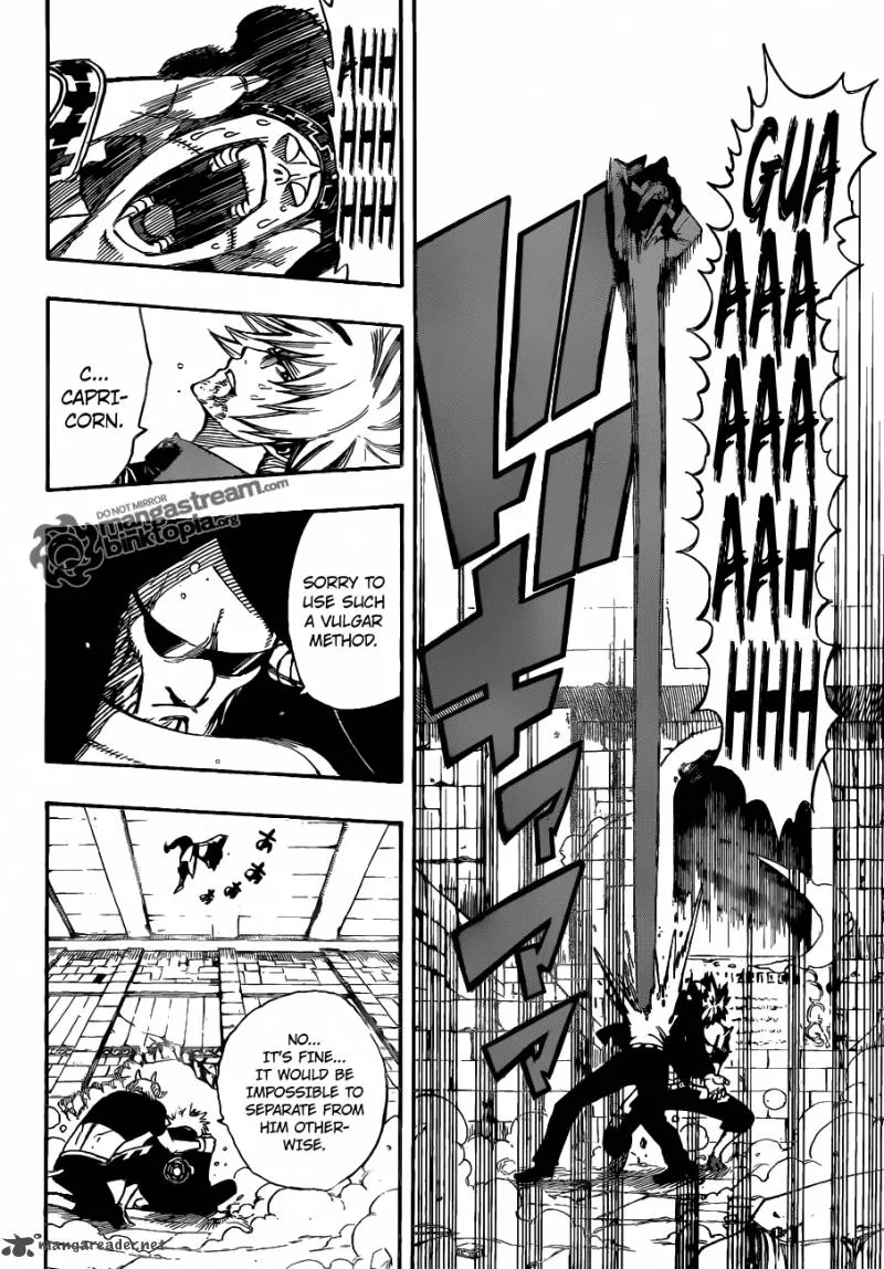 Fairy Tail Chapter 224 page 13
