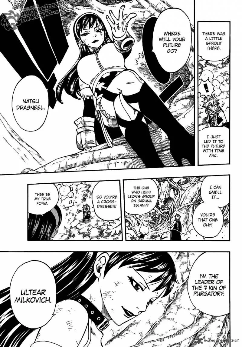 Fairy Tail Chapter 225 page 9