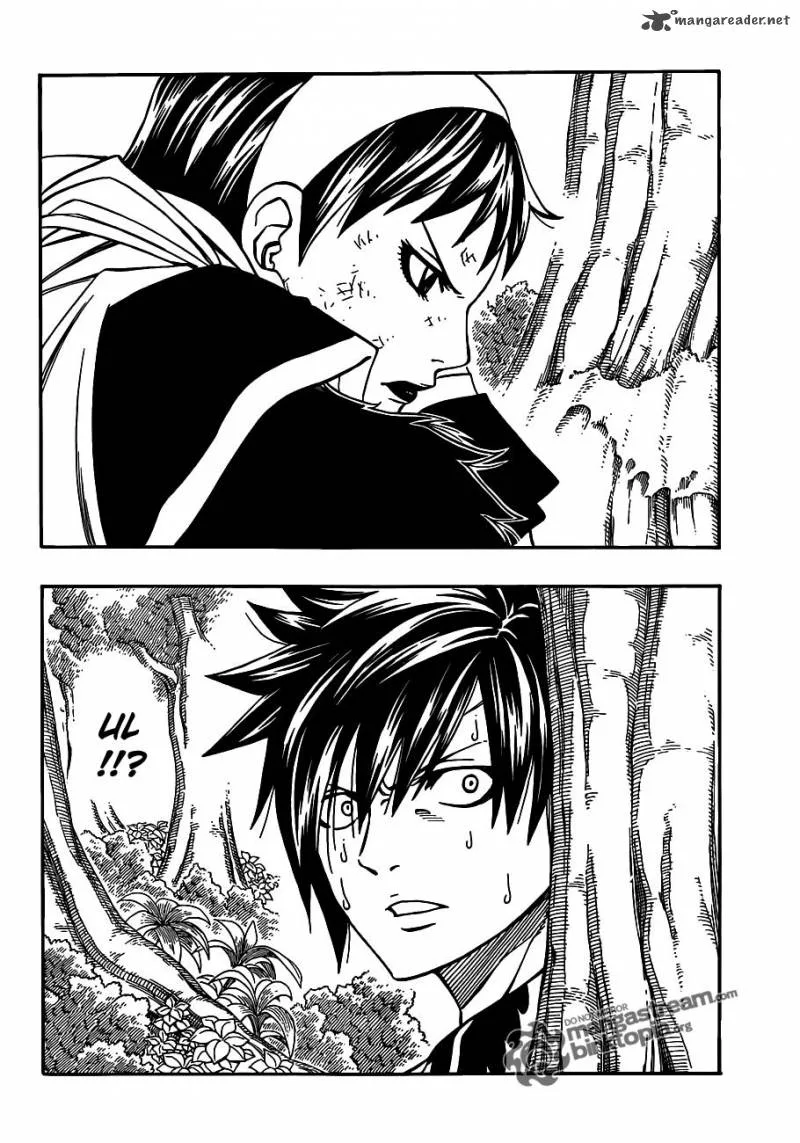 Fairy Tail Chapter 228 page 13