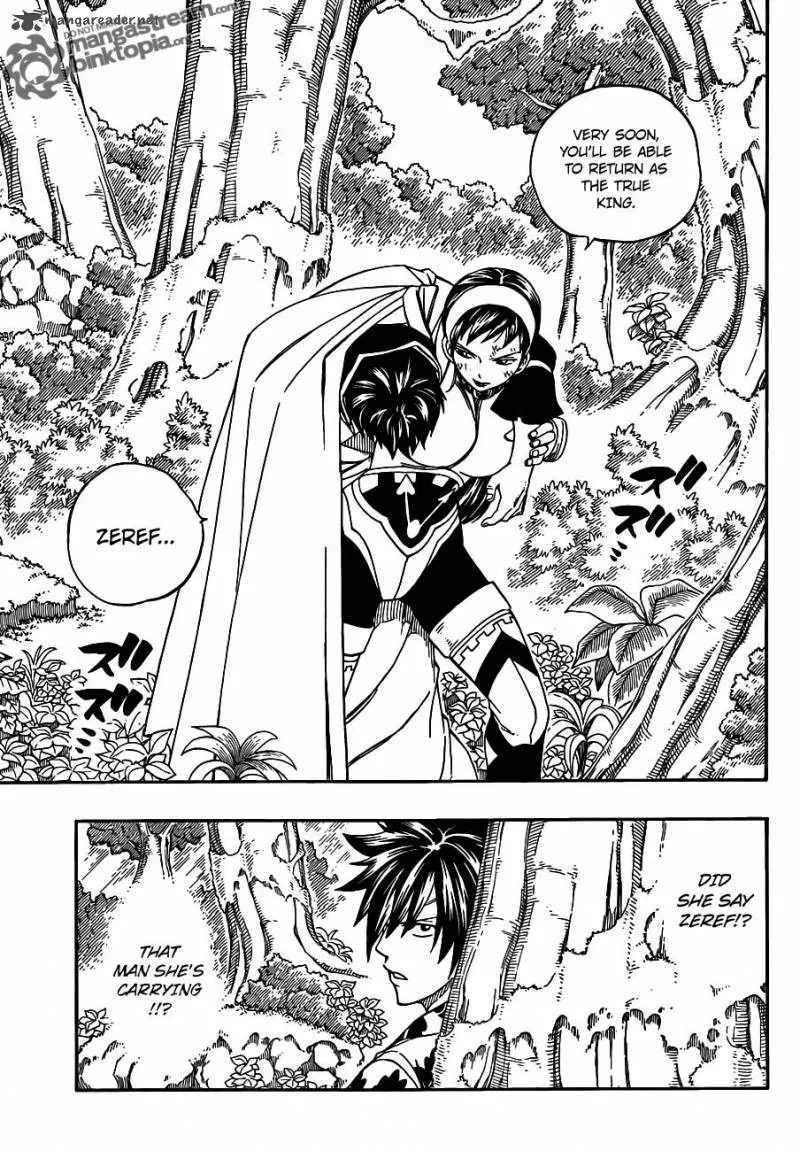 Fairy Tail Chapter 228 page 12