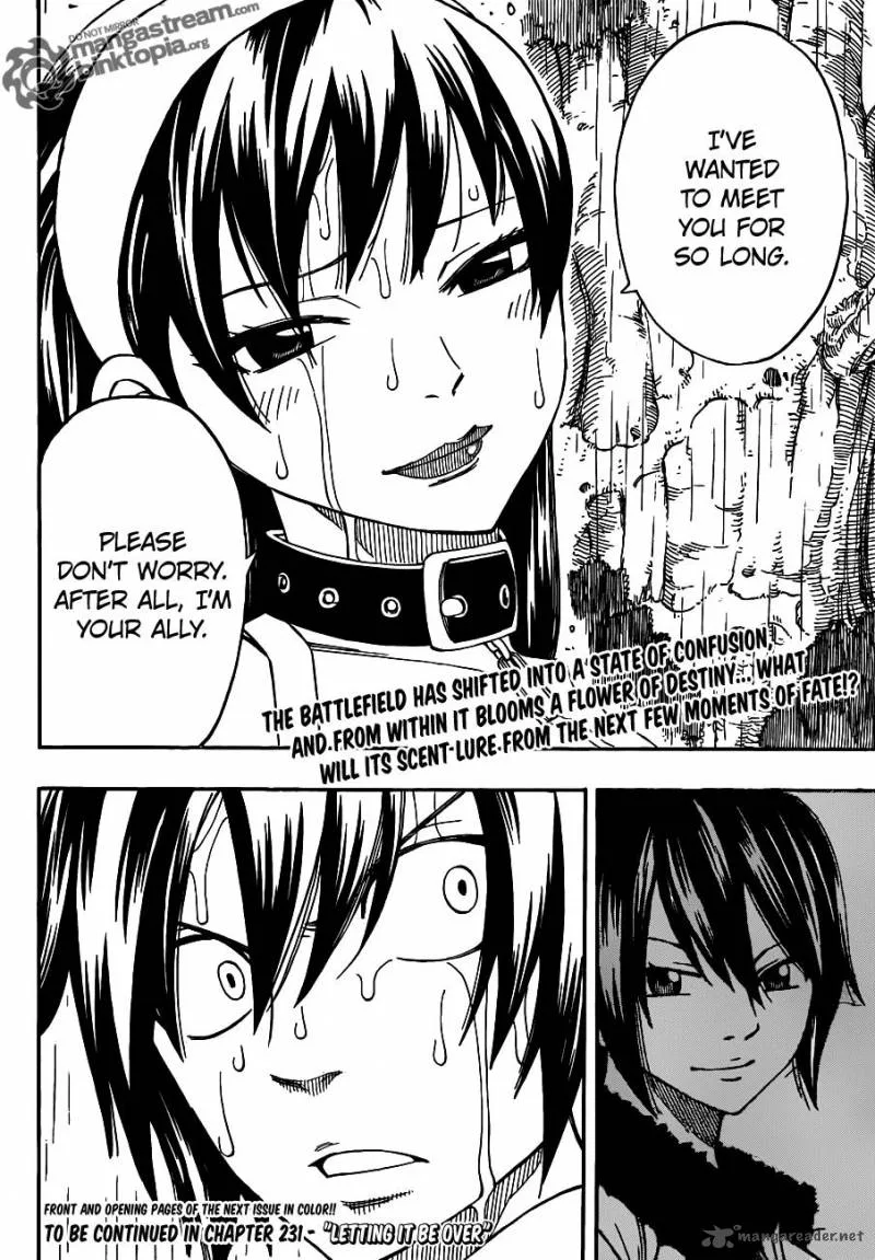 Fairy Tail Chapter 230 page 20