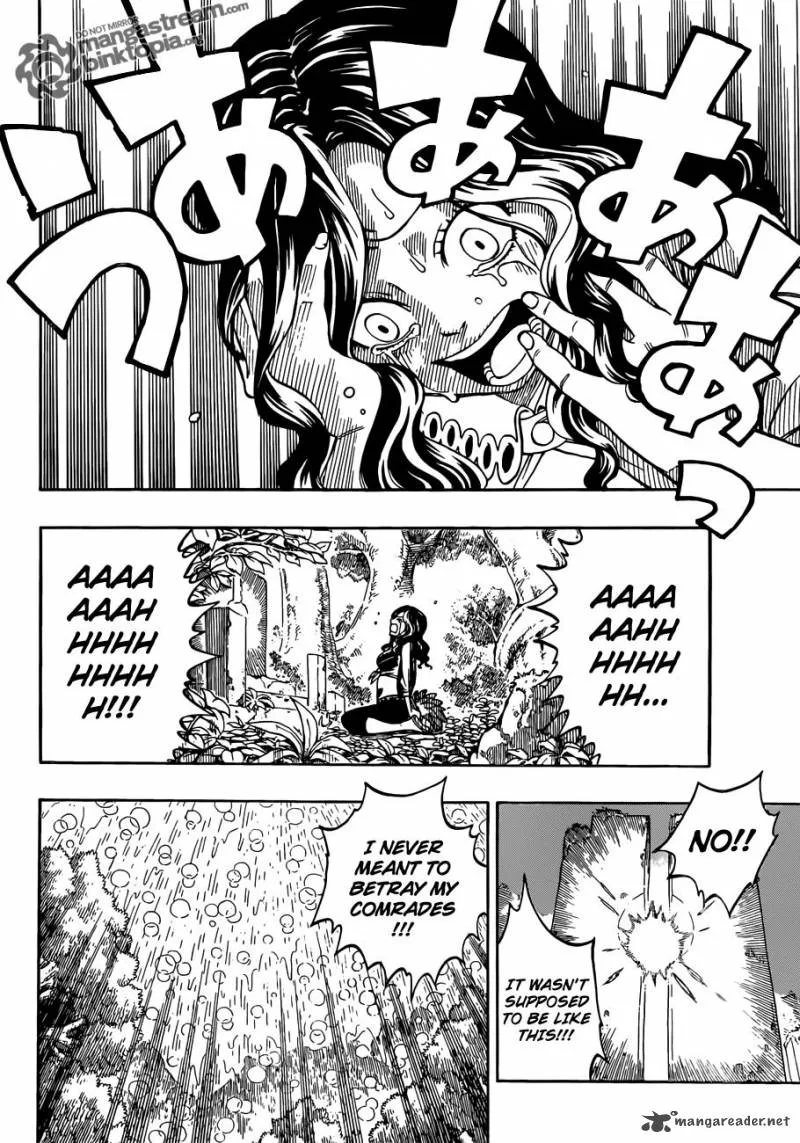 Fairy Tail Chapter 232 page 14