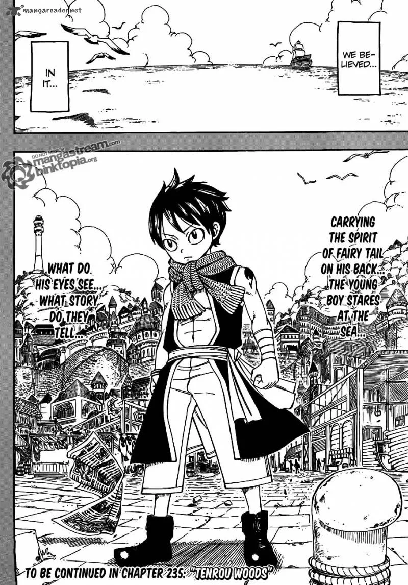 Fairy Tail Chapter 234 page 19