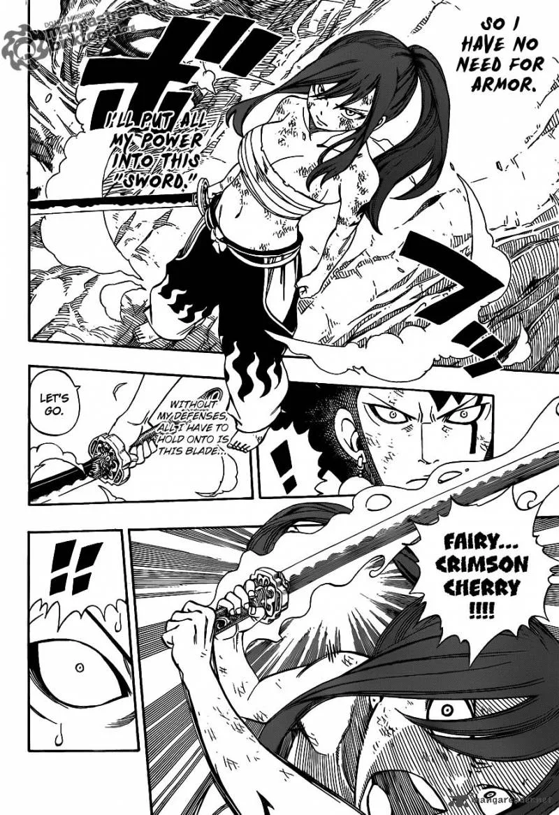 Fairy Tail Chapter 236 page 14