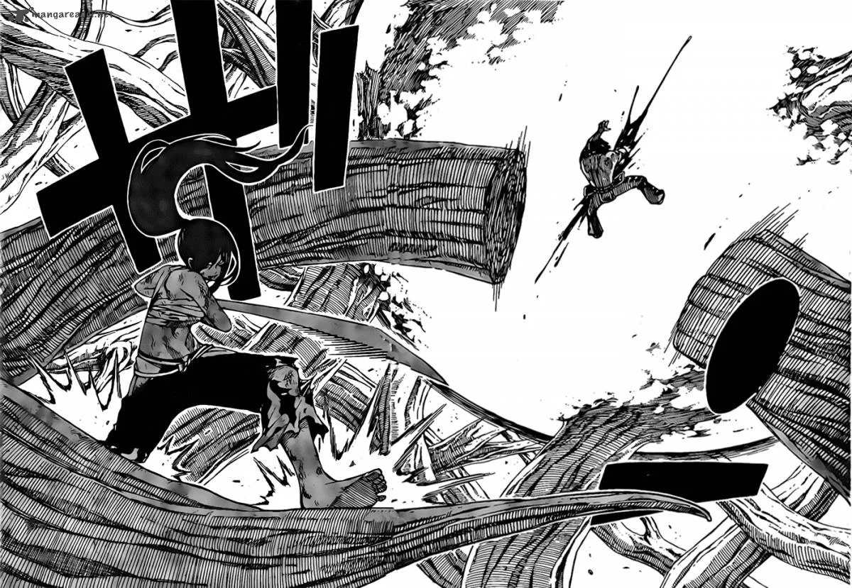 Fairy Tail Chapter 237 page 17