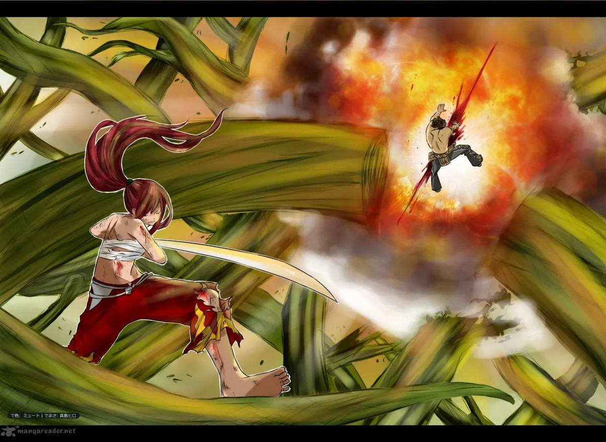 Fairy Tail Chapter 238 page 21