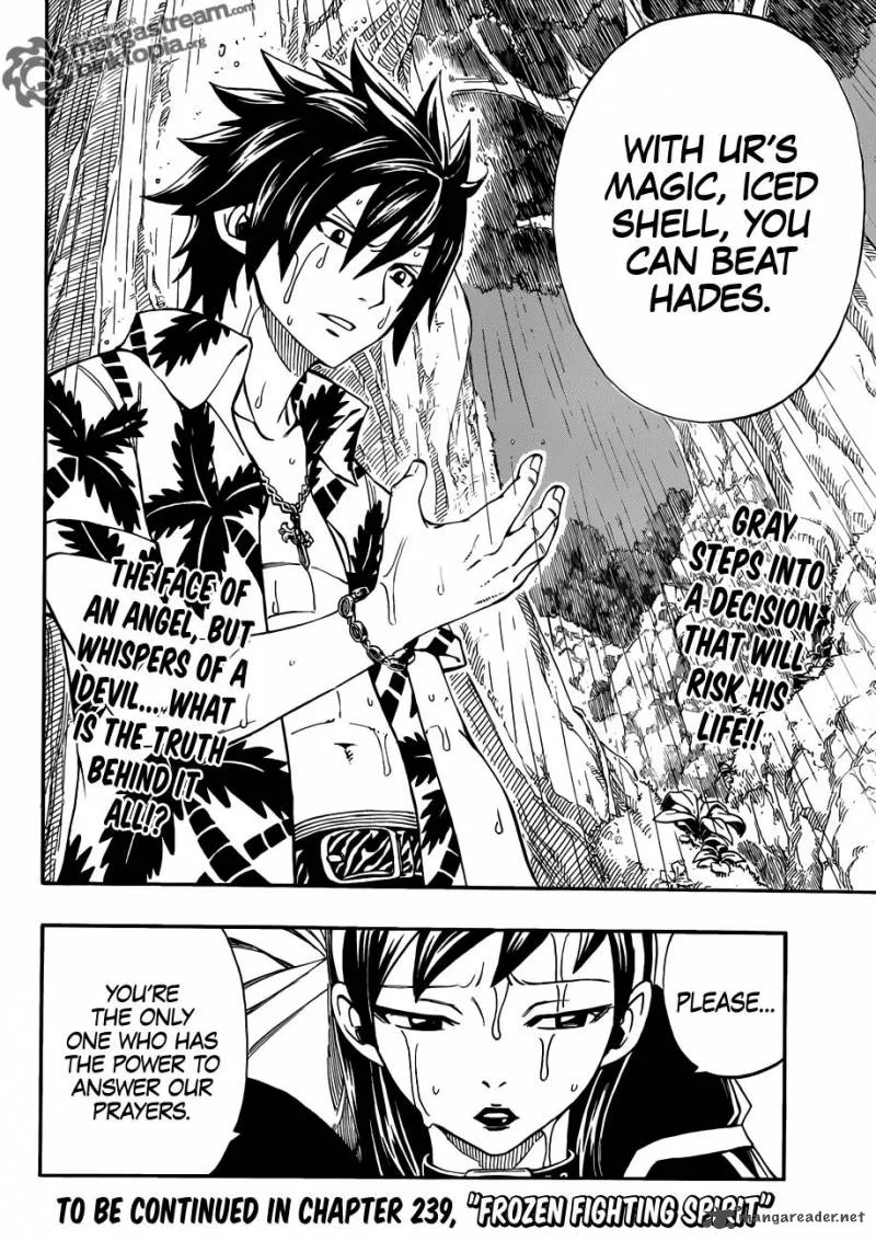 Fairy Tail Chapter 238 page 19