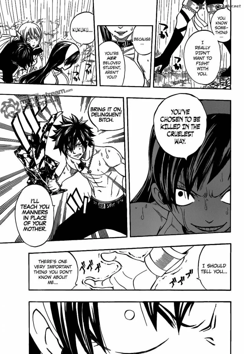 Fairy Tail Chapter 239 page 17