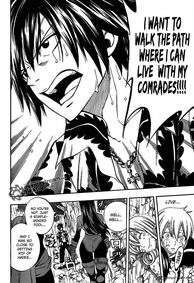 Fairy Tail Chapter 239 page 16