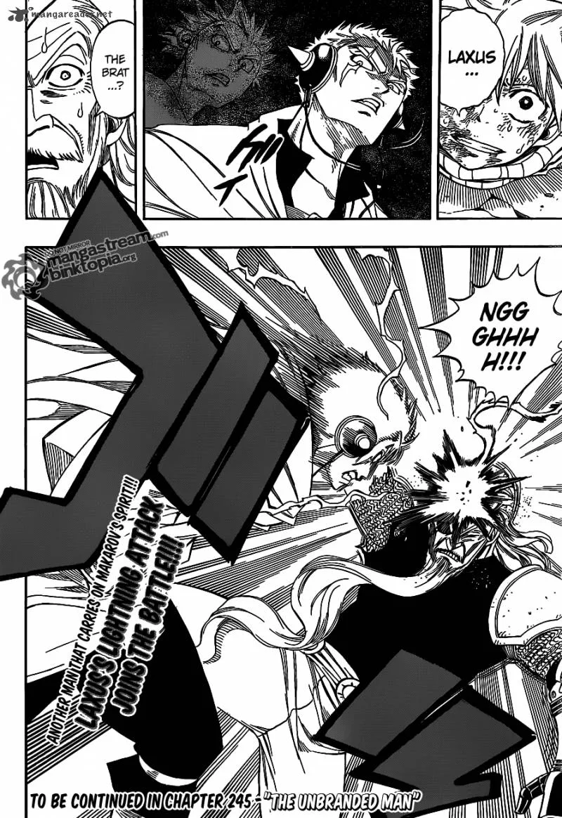 Fairy Tail Chapter 244 page 21